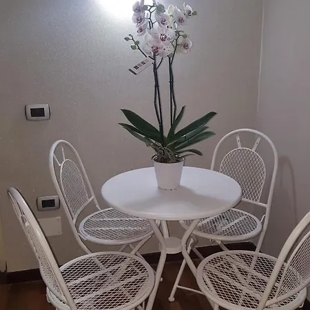 Apartament My Dream House