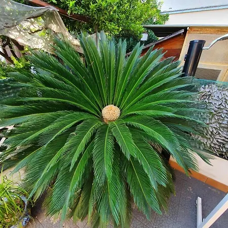 Διαμέρισμα My Dream House Angri